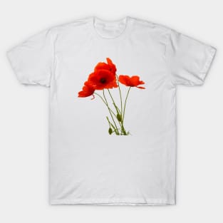 Delicate Red Poppies Floral Bouquet T-Shirt